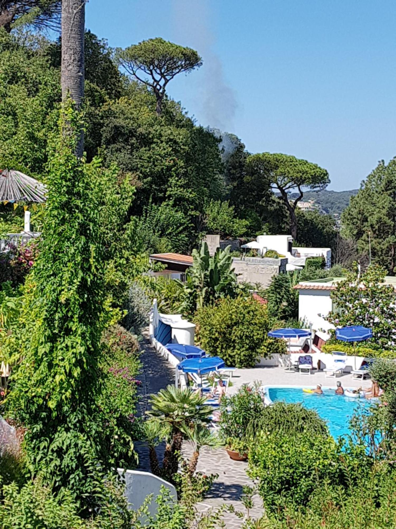 Hotel Parco Conte カザミッチョラ・テルメ エクステリア 写真